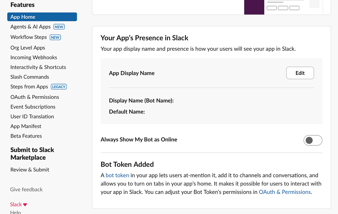App Home screen in Slack API