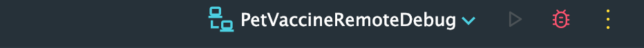 Debug button in IntelliJ IDEA