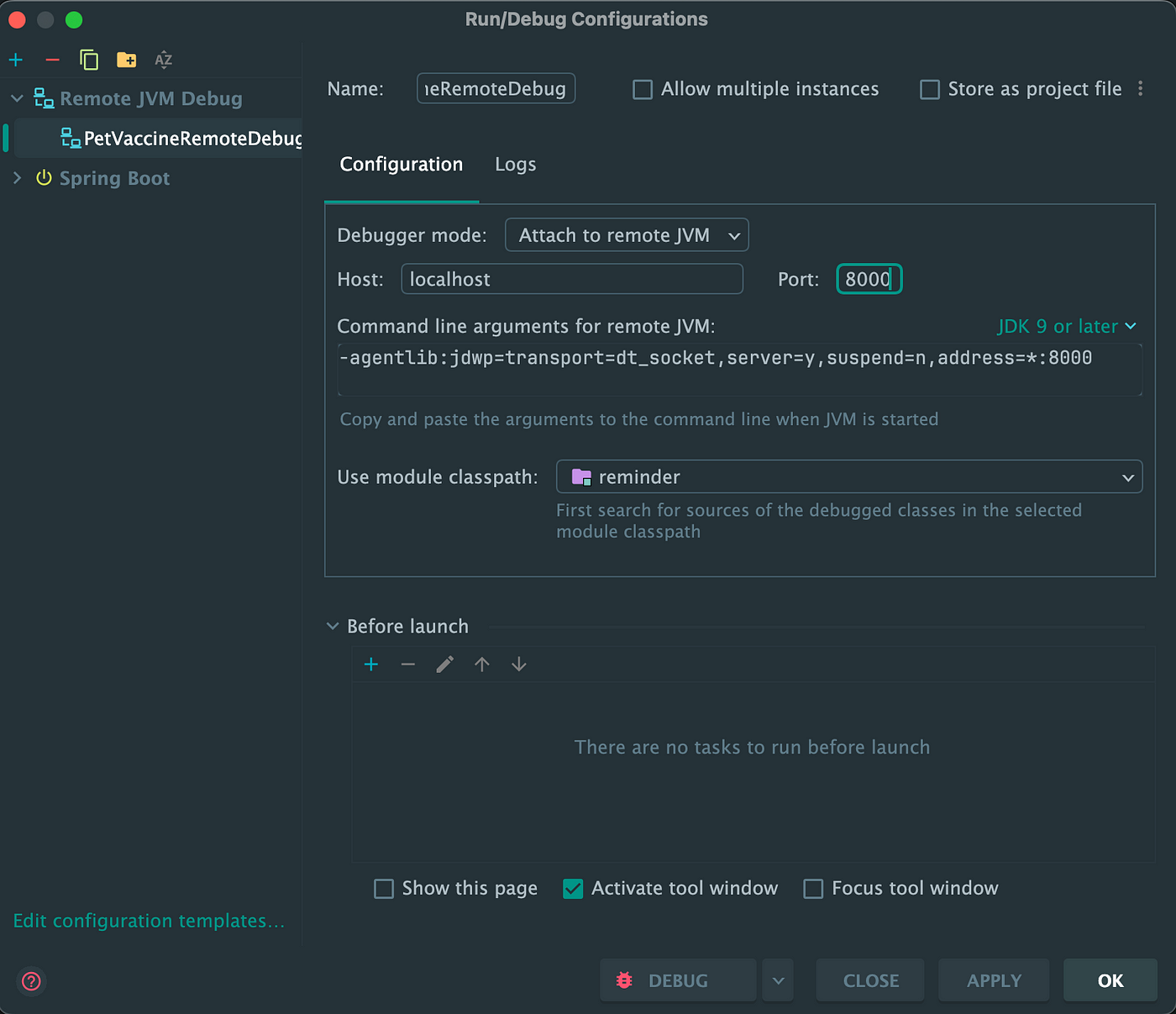 Remote JVM Debug configuration settings