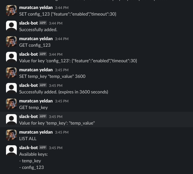 Sample bot commands in action